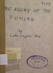 Agony of the Punjab