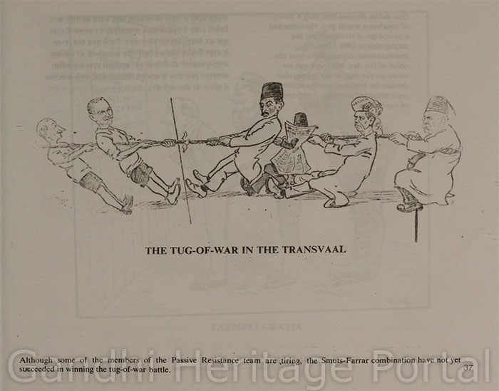 The Tug-of-war in the Transvaal